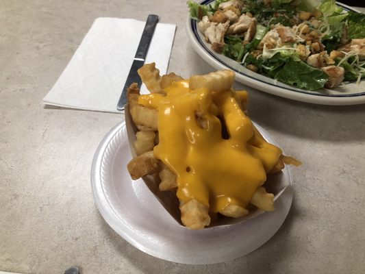 Cheese fries