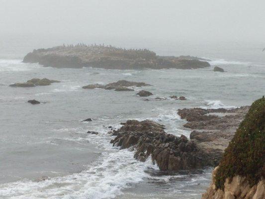 Soothing ocean waves crashing on the beach, nature's de-stress remedy...