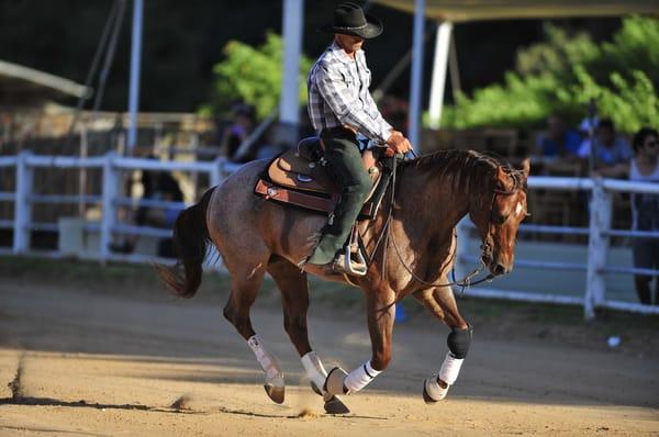 Western Reining Lessons