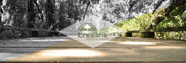 Tricia Kenney - Treeline Realty