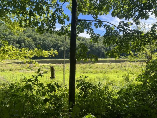 Bennets Pond