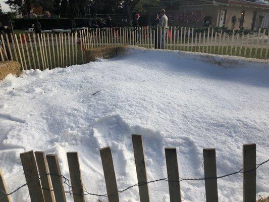 It's a Christmas miracle! They brought in snow to play in during the holidays!