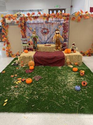 Mini pumpkin patch for our participants to enjoy.