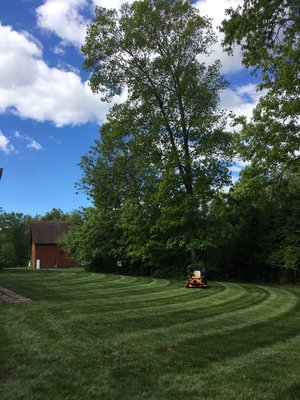 Lawn mowing