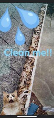 Clogged and dirty rain gutters