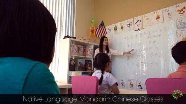 Vine Education Group offers Mandarin Chinese classes to both native speakers and as a second language.