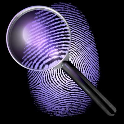 Professional Investigative Resources