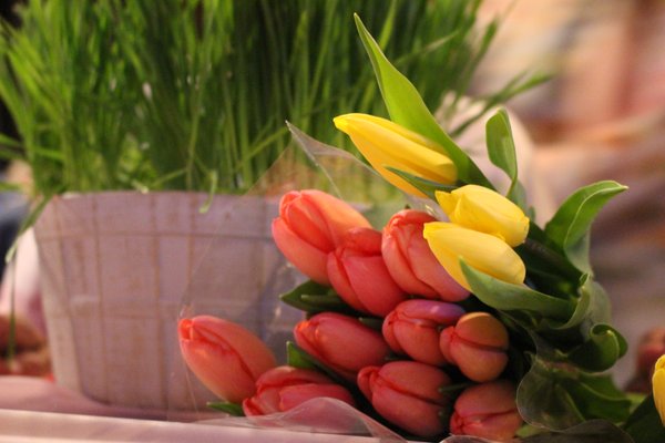 Tullips & Wheat Grass