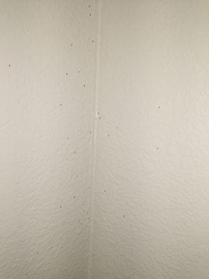 Who knows what on the bathroom walls. it comes off when wiped (2)