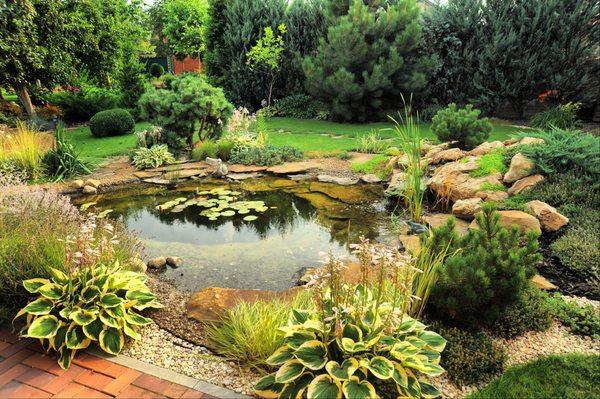 Lily Pond Exterior Design