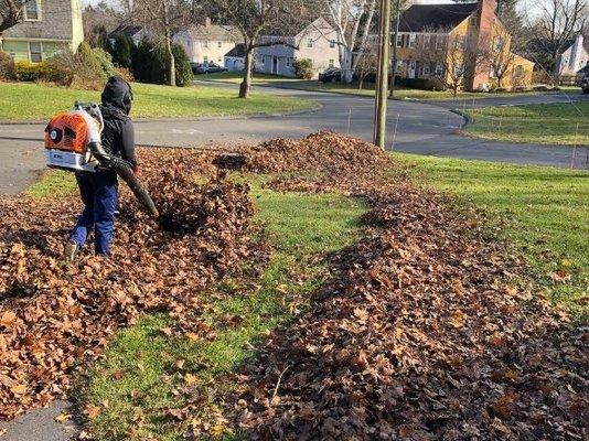 JS Landscaping caring for lawns and landscapes in and around West Hartford, CT.