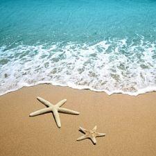 A sandy beach for a perfect honeymoon.