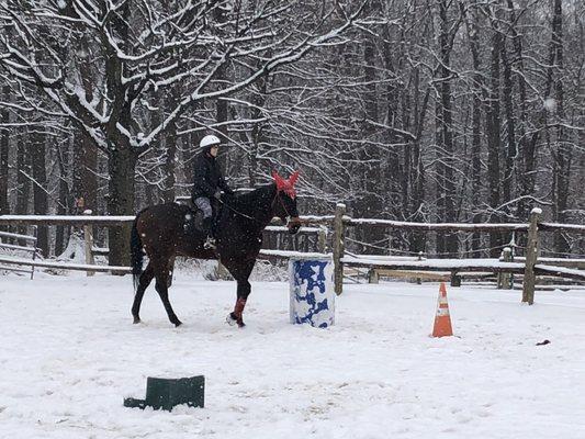 trotting in the snow