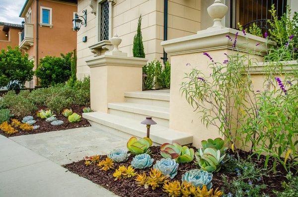 We care about the details. Every plant in every project is thoughtfully selected and carefully installed.