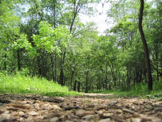 2.5 miles of peaceful walking trails