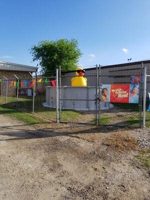 Waddles the Duck is enjoying the pool.  Join in the fun.  Check our our pool inventory.