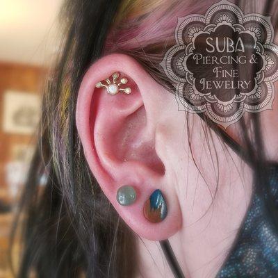 Large gauge second lobes and scapha piercing with 14k Gold and opal starburst