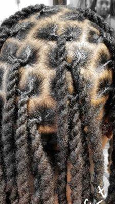 Dreadlocks two strand twist