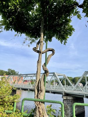 This side of the bridge looks like you are in quintessential New England @  The Bridge of Flowers in Shelburne Falls MA