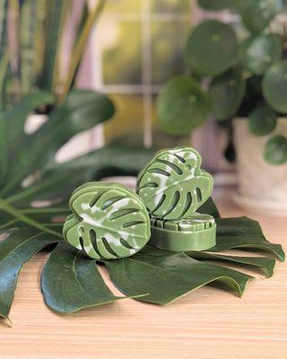 Monstera Leaf Soap