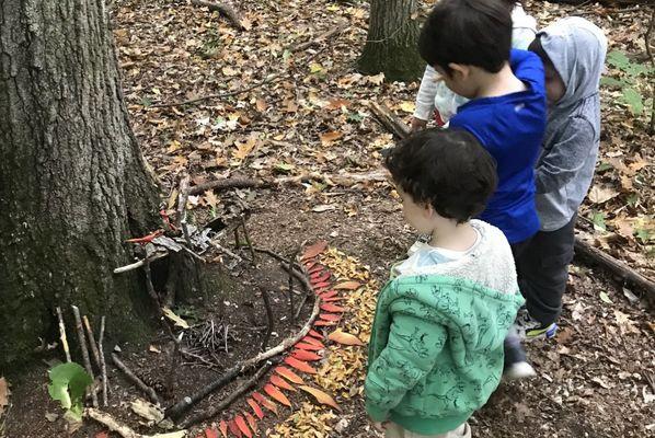 Crafting fairy houses with all the skill of a bowerbird