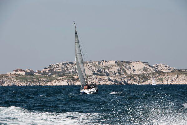 Fantastic Tours to Channel Islands National Park