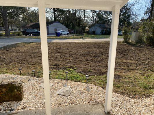 Results of stump grinding and leveling- front yard