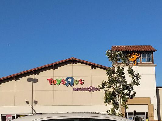 Sad to see Toys R Us go. This was the last picture I took as I was leaving.