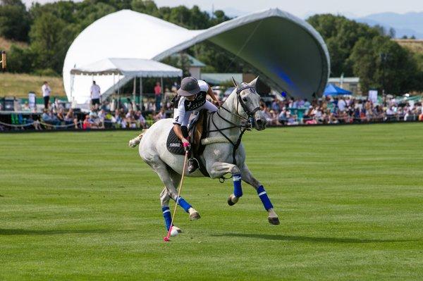 Three exciting polo matches including the highest level of polo played in the US.