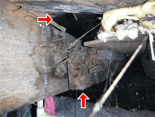 Rotted Wood Framing, Property Inspections