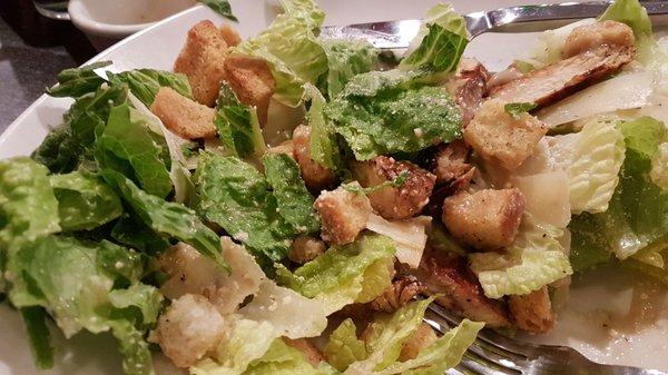 Chicken Caesar Salad