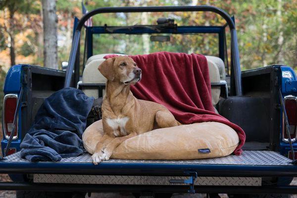 We make the softest and comfiest dog beds available. Available in six sizes and four colors for your best friend.