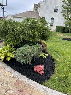 New mulch