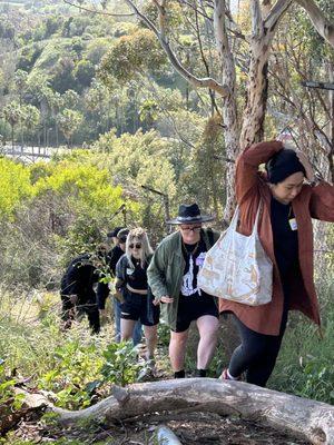 Foraging workshop