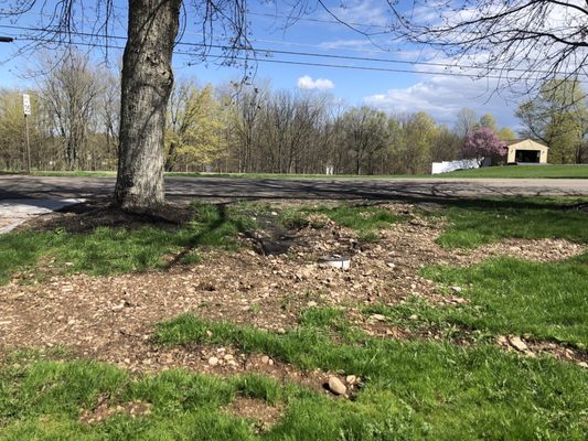 Our front yard months and months after water line installation.