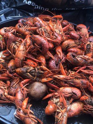 Boiled crawfish (to go)