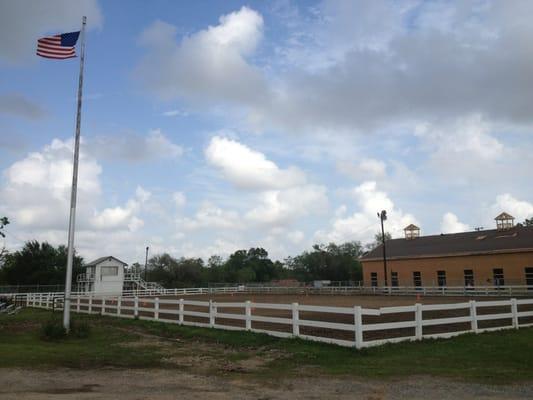 New Orleans Police Department Mounted