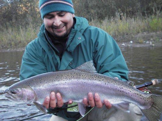 wild Steelhead