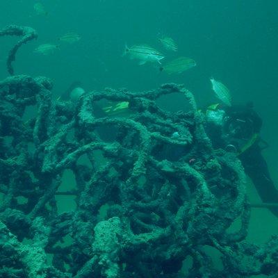 Concrete Rope Reef Spheres at the Underwater Museum of Art