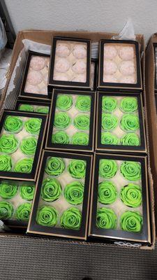 Pack of 6 Preserved Roses