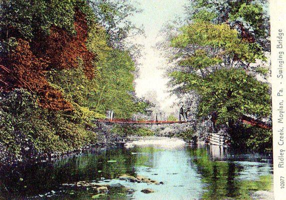 Swing Bridge -- Moylan Rose Valley, Antique Postcard, 1906