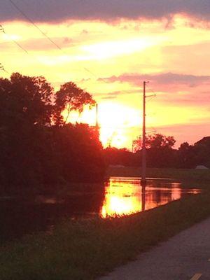 Sunset close-up