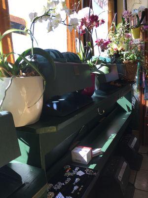 Nail dryers mixed in with plants