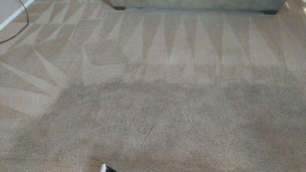 No matter how bad your carpet is, we can clean it!