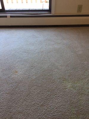 Additional living room stains.