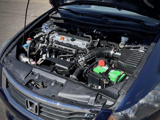 One more engine bay got cleaner!