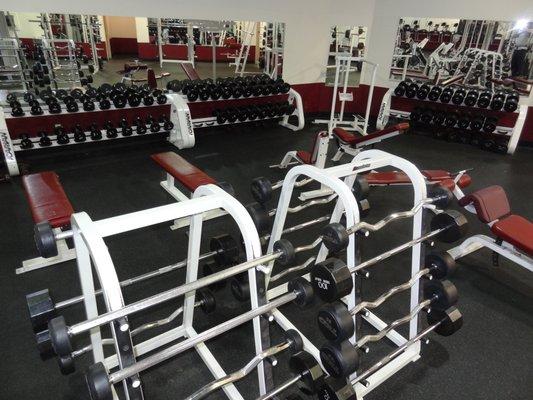 Dumbbell & Bench Area