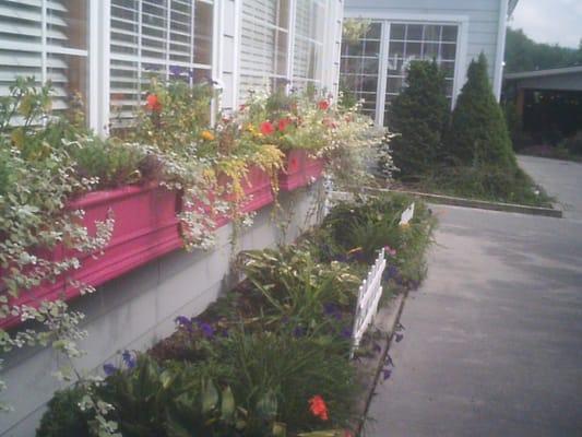 Flowers lovingly taken care of by Massage Center for Bodywork