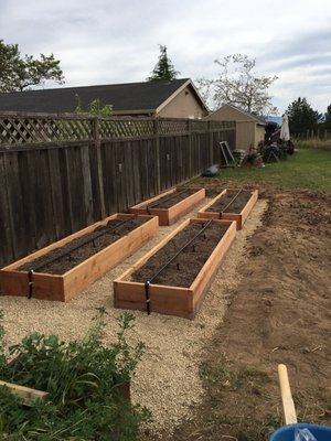 More garden boxes!