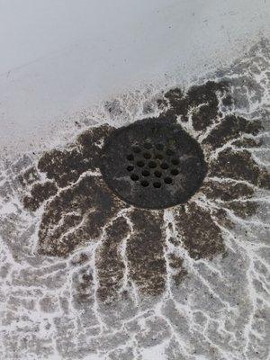 Would you wash your face here when you check- in? Too bad, no refunds.